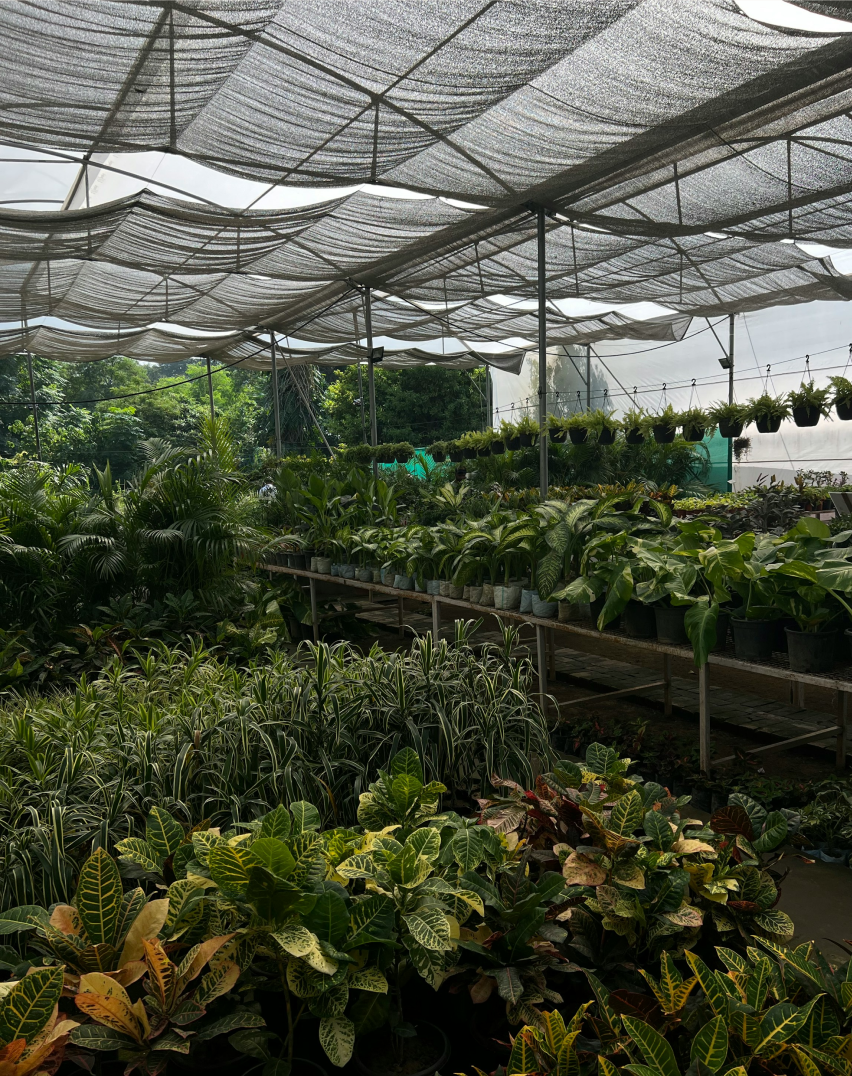 Horticulture & Nursery